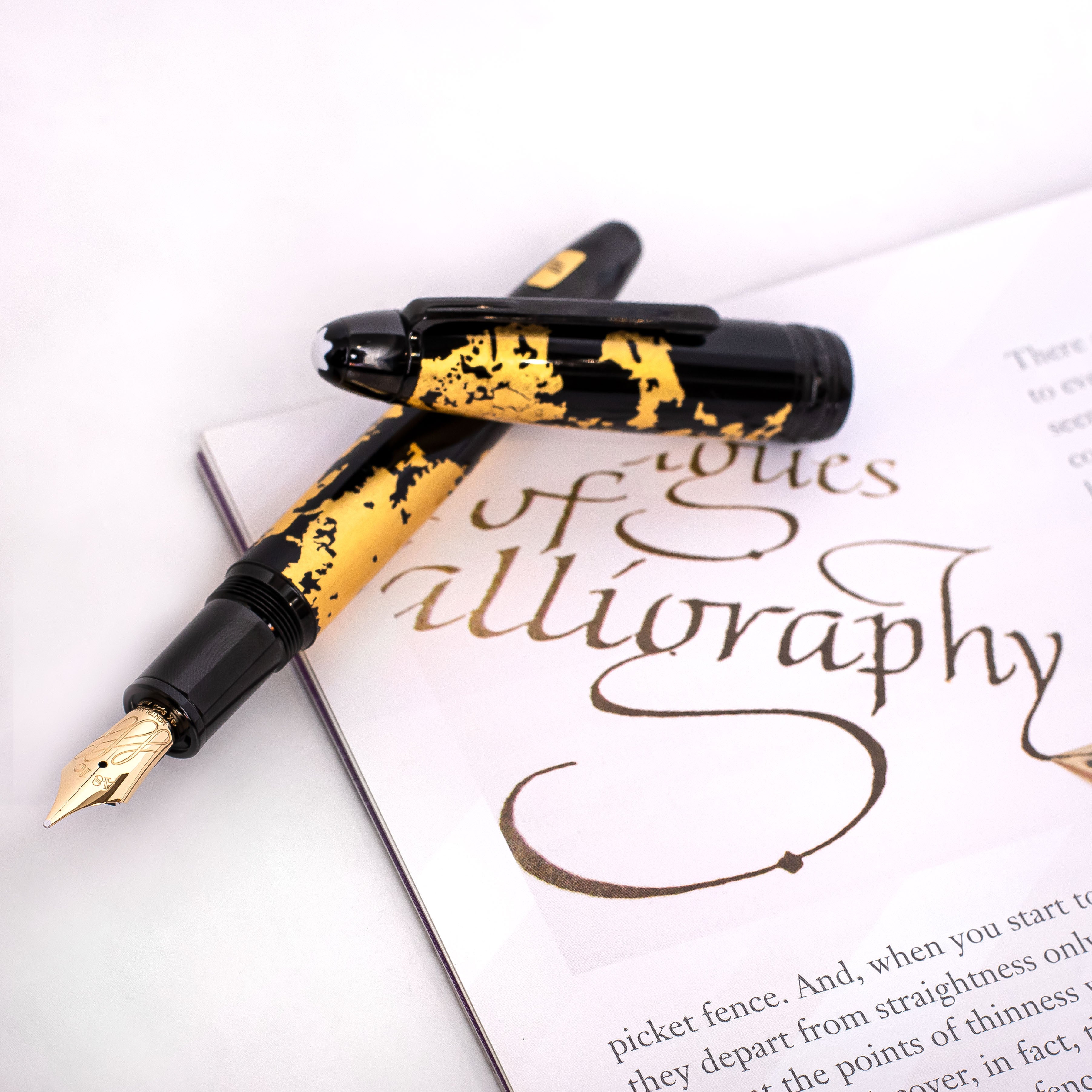 Calligraphy Pen