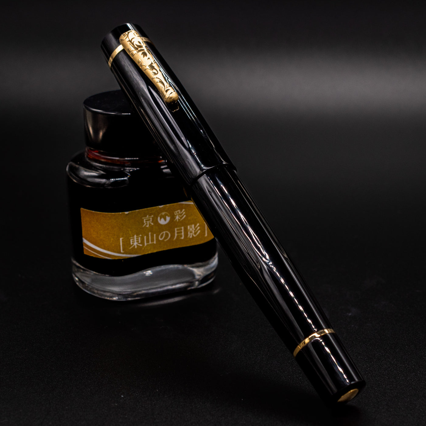 Delta Bio+16 Nera Fountain Pen - 14k Gold #8 Nib capped