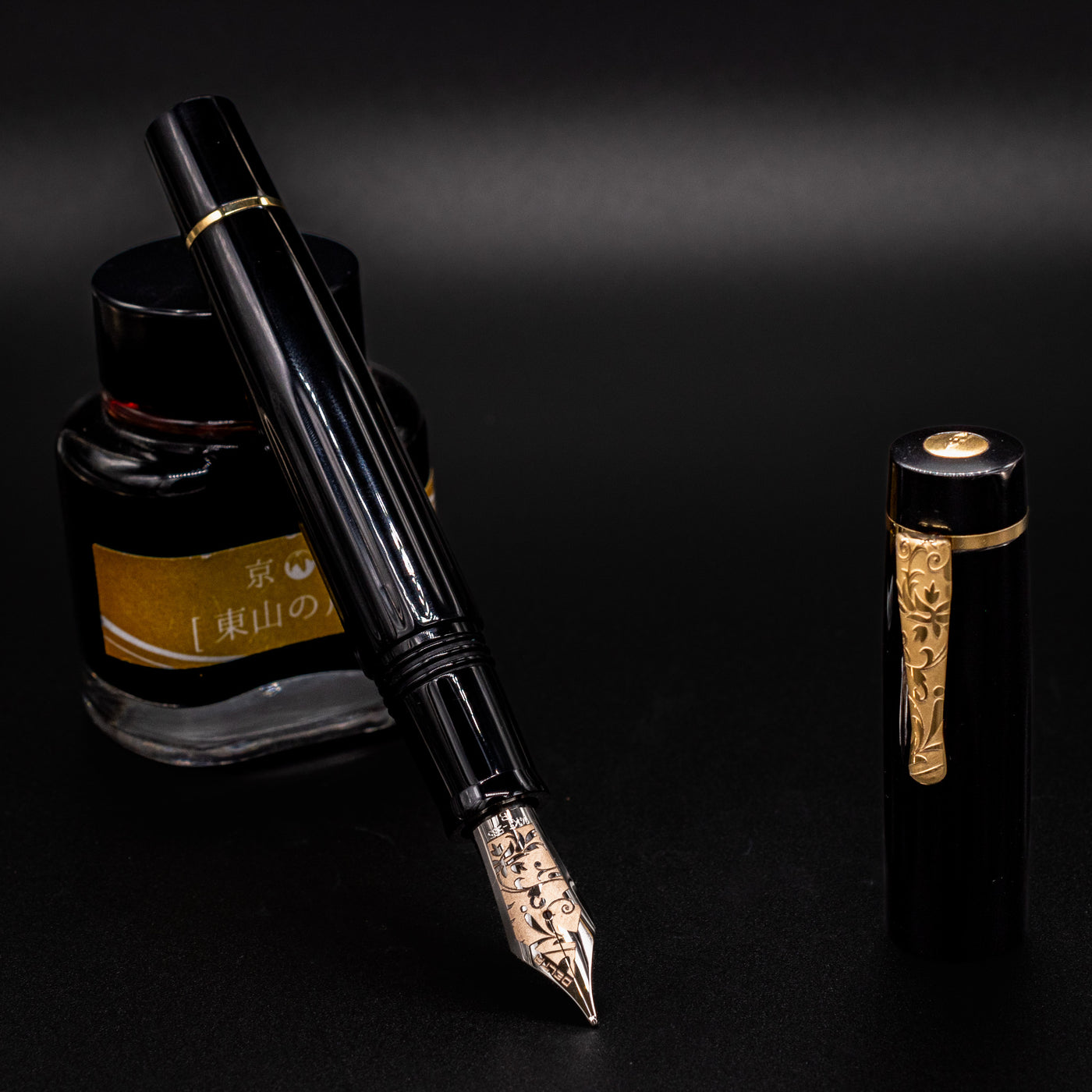 Delta Bio+16 Nera Fountain Pen - 14k Gold #8 Nib