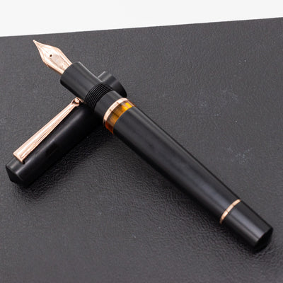 Delta Duna Matte Black & Rose Gold Fountain Pen piston filled