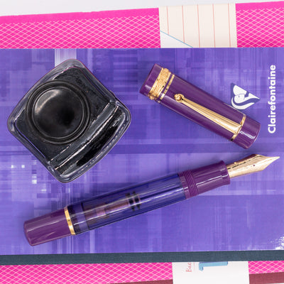 Delta Majestic Purple Limited Edition Fountain Pen 2024