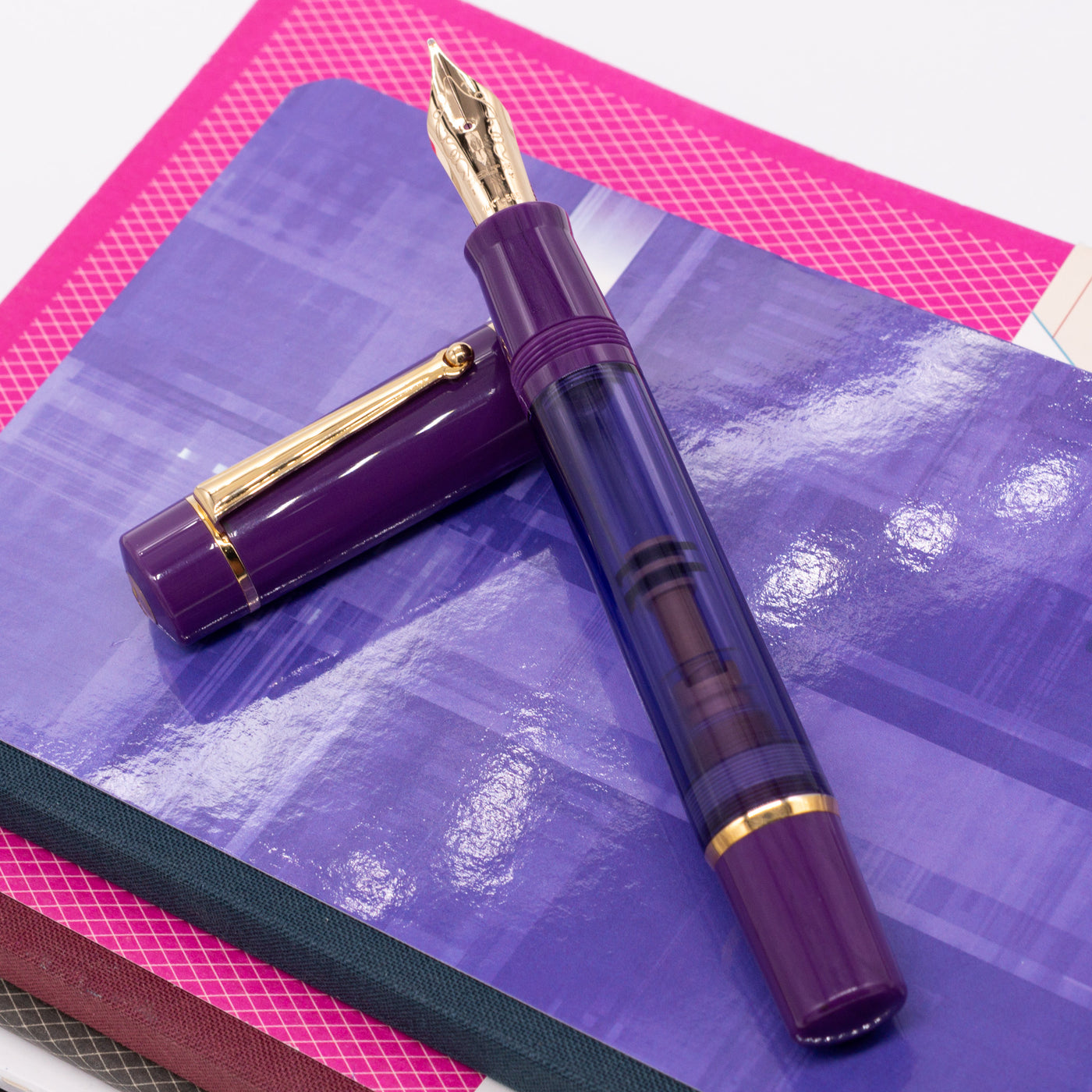 Delta Majestic Purple Limited Edition Fountain Pen demonstrator