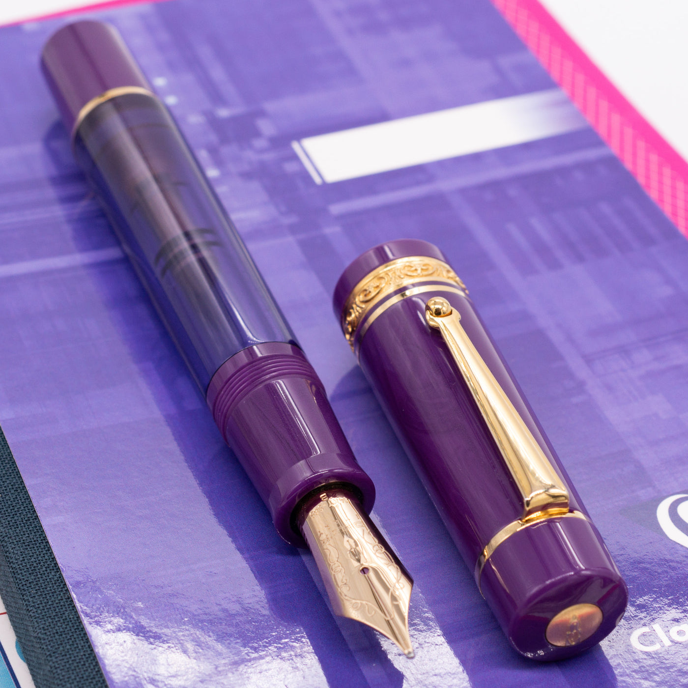 Delta Majestic Purple Limited Edition Fountain Pen new