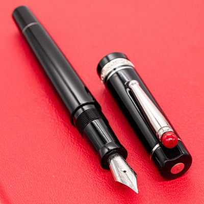 Delta WE Fountain Pen - 17 (Black) chrome trim