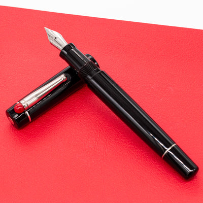 Delta WE Fountain Pen - 17 (Black) italian