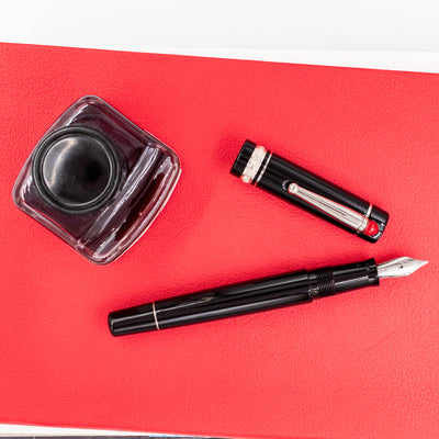 Delta WE Fountain Pen - 17 (Black) shiny