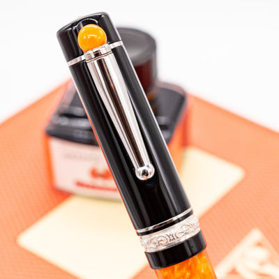 Delta WE Fountain Pen - Classic DV horn