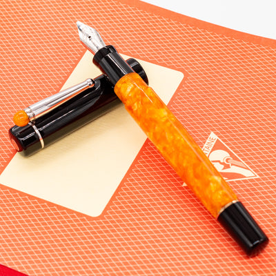 Delta WE Fountain Pen - Classic DV italy