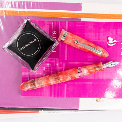 Molteni Modelo 58 Fountain Pen - Flamingo piston filled