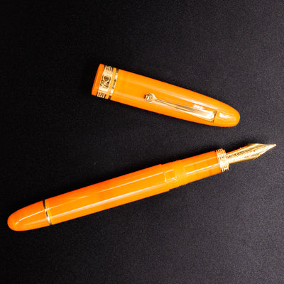 Omas Ogiva Fountain Pen - Arancione Gold piston filled