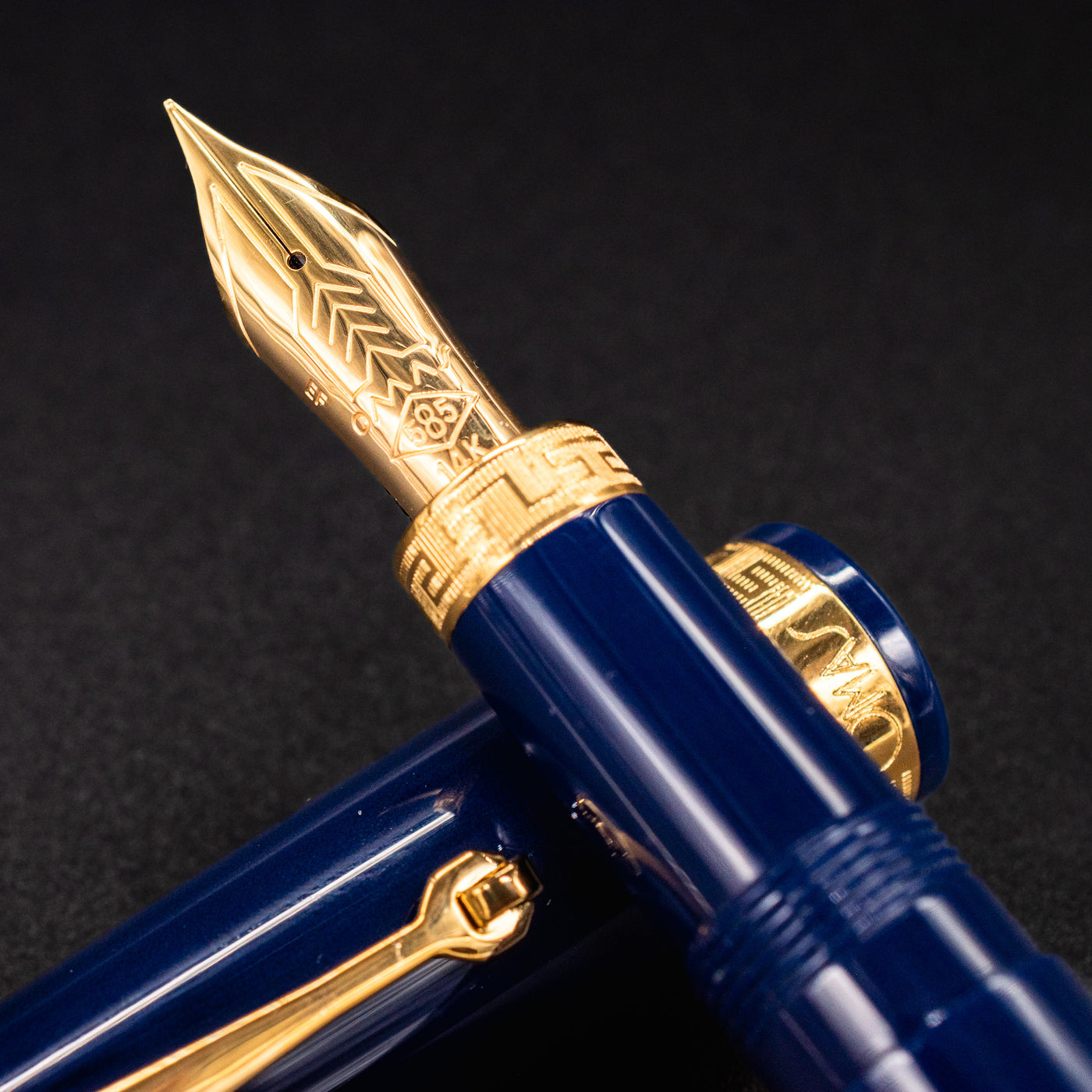 Omas Ogiva Fountain Pen - Blu Gold 14k gold nib