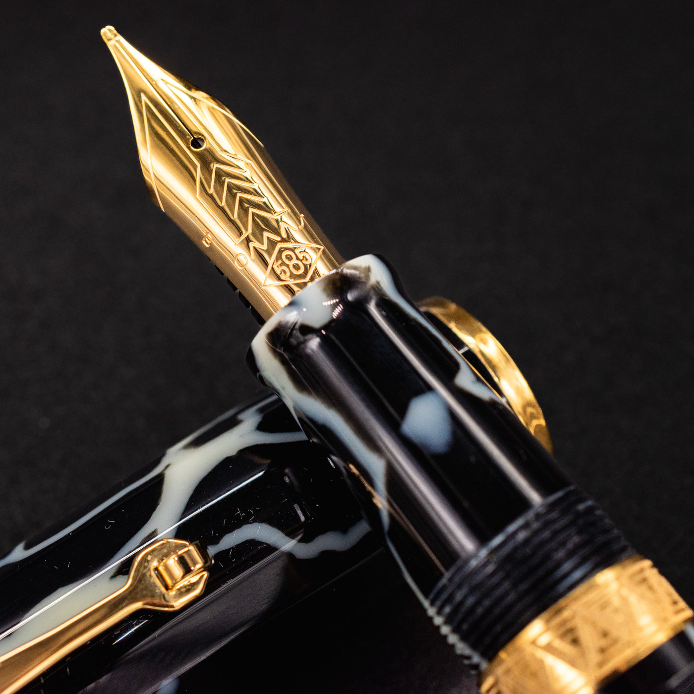 Omas Paragon Fountain Pen - Wild Celluloid Gold 14k gold nib