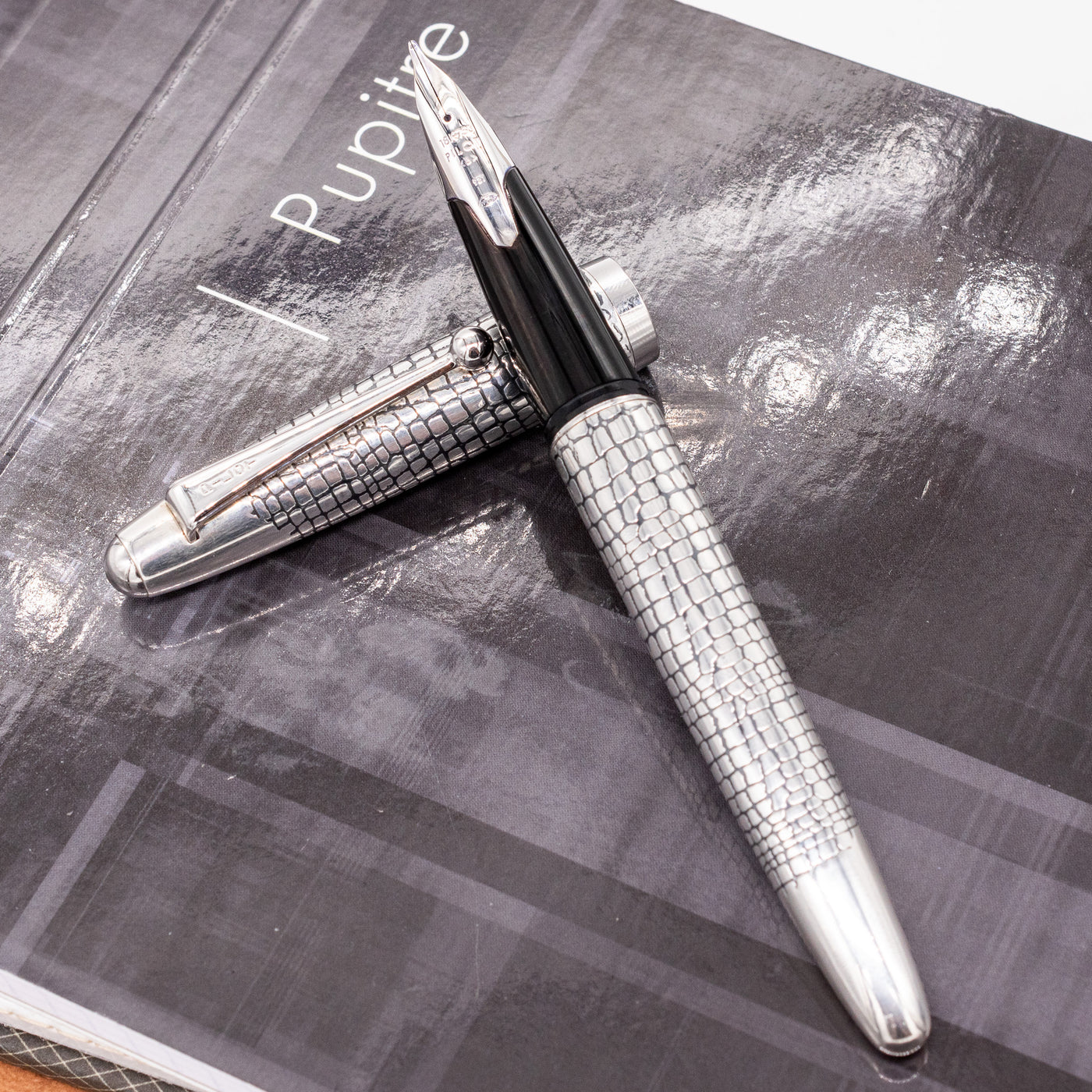 Pilot Sterling Silver Fountain Pen - Ishidatame silver