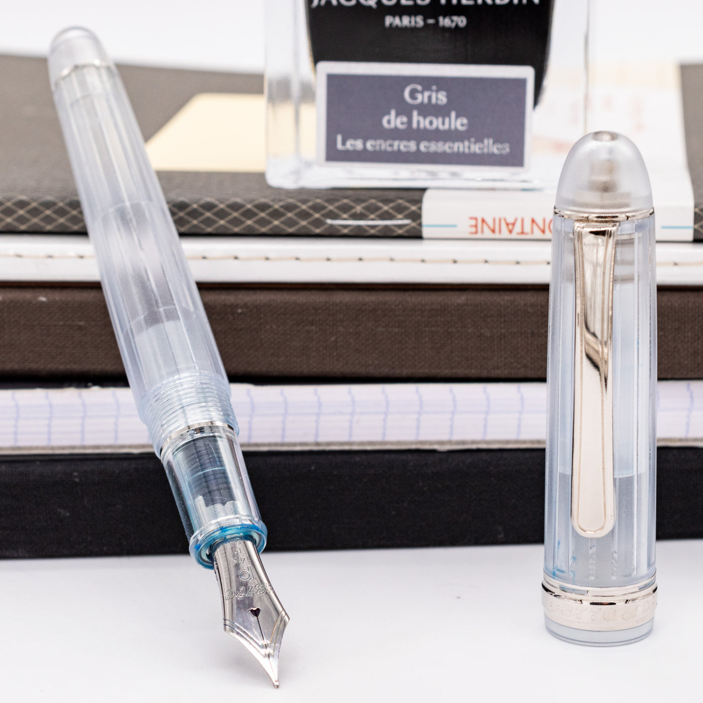 Platinum 3776 Century Nice Pur Fountain Pen