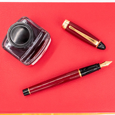 Aurora Ipsilon Resin Fountain Pen - Bordeaux and gold