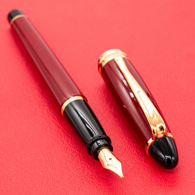 Aurora Ipsilon Resin Fountain Pen - Bordeaux gold plated trim