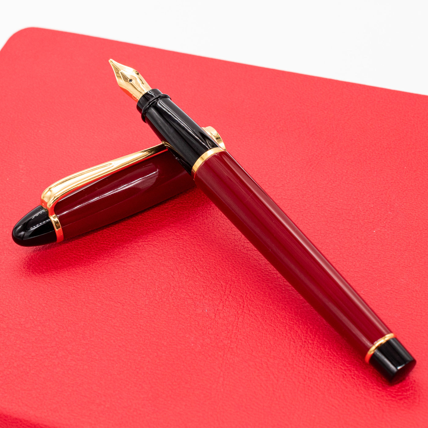 Aurora Ipsilon Resin Fountain Pen - Bordeaux red