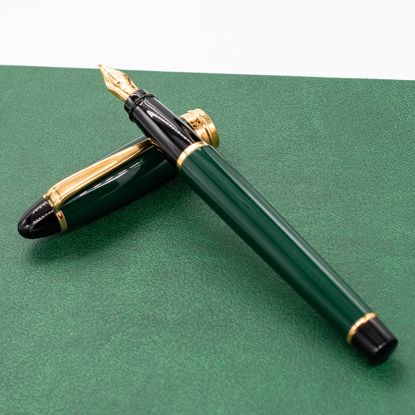 Aurora Ipsilon Resin Fountain Pen - Green and black