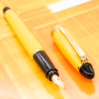 Aurora Ipsilon Resin Fountain Pen - Yellow black accents