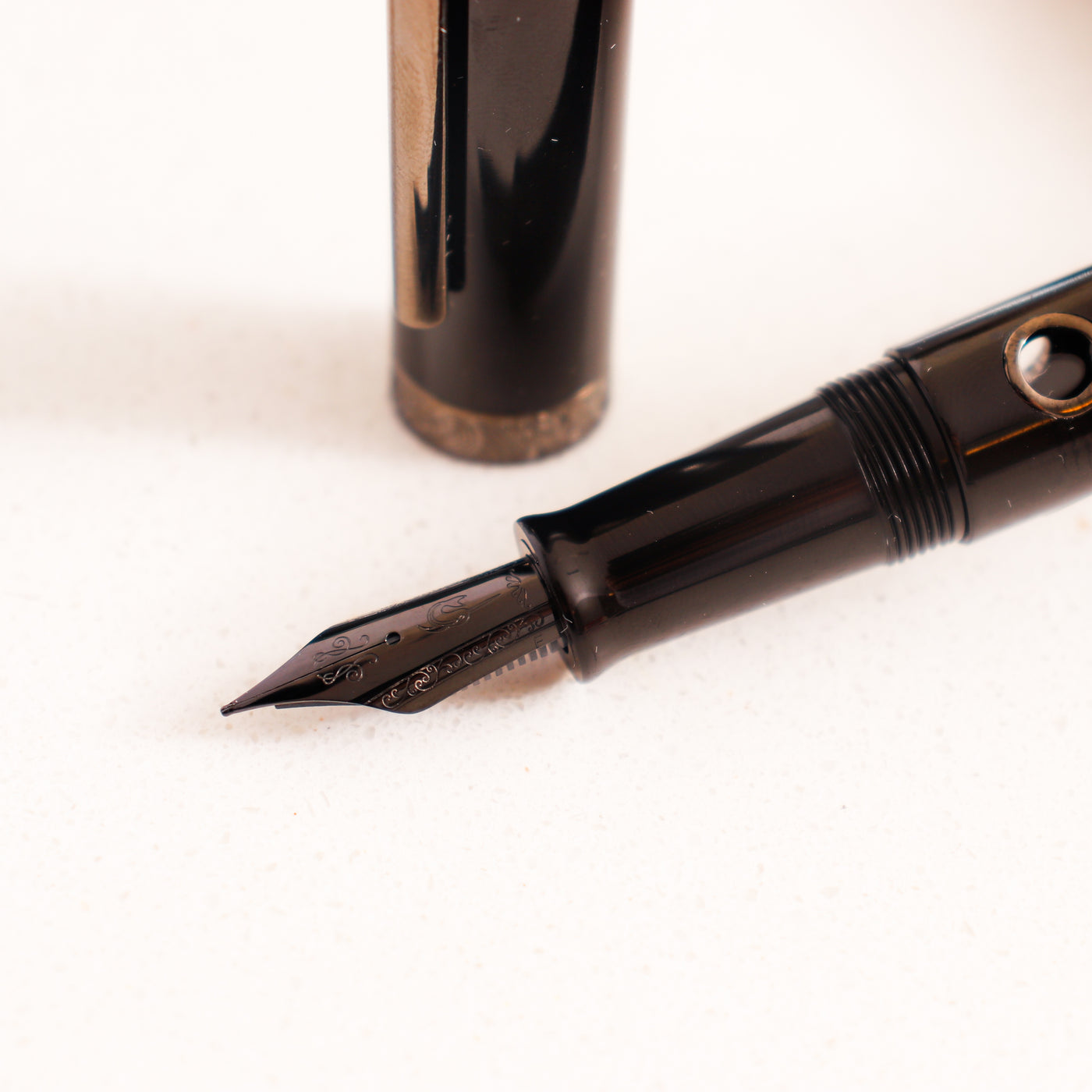 Narwhal Nautilus Cephalopod Black Fountain Pen