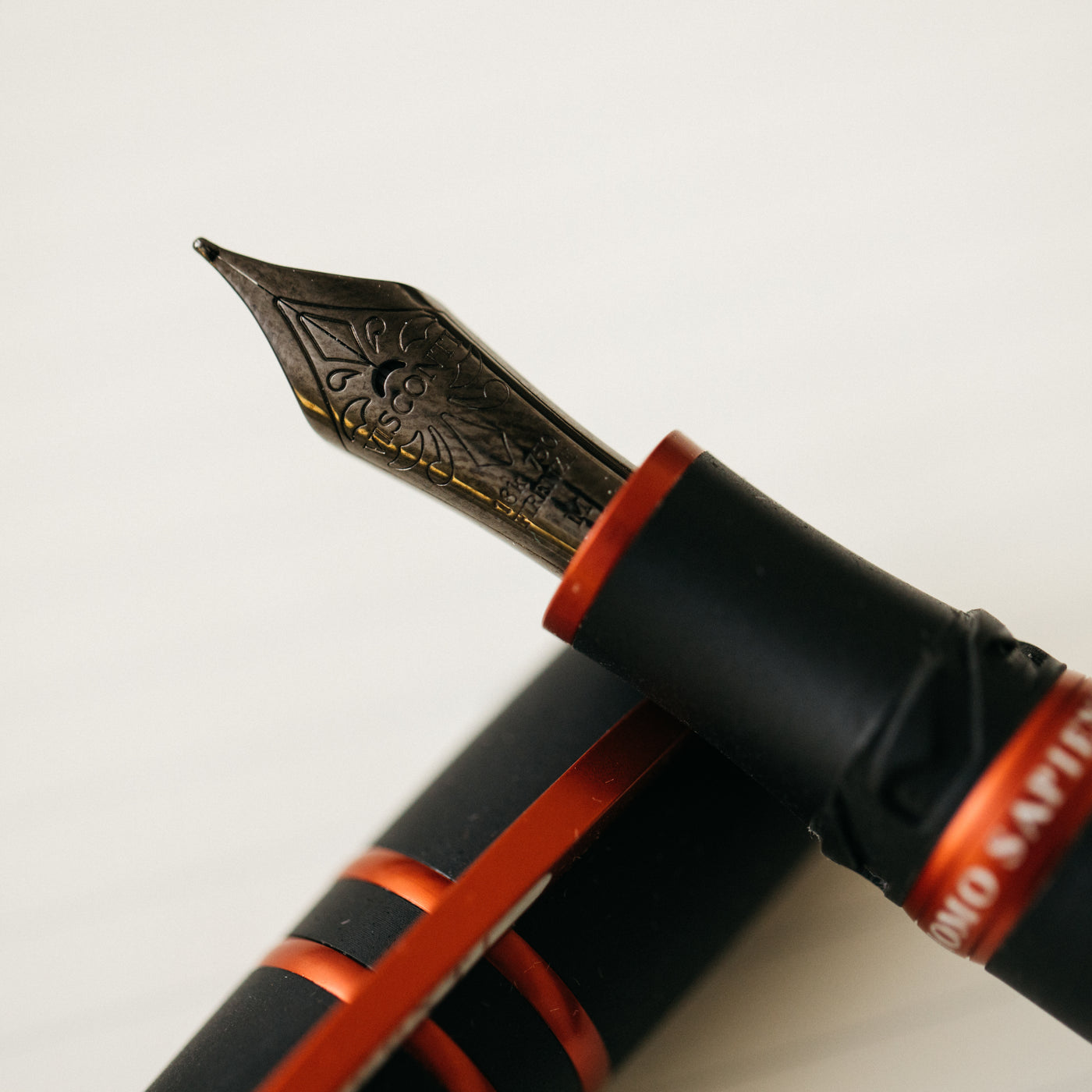 Visconti Homo Sapiens Magma Fountain Pen